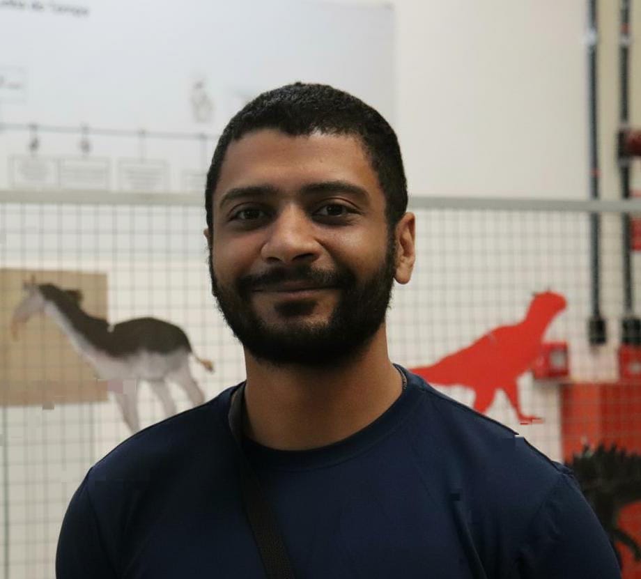 Ronaldo Araujo Leoni